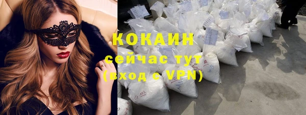 хмурый Мегион